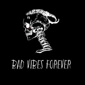 Meet your Posher, Wesley